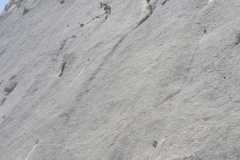 IMG-20220412-WA0036