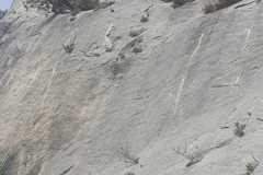 IMG-20220412-WA0042