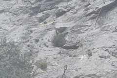 IMG-20220412-WA0048