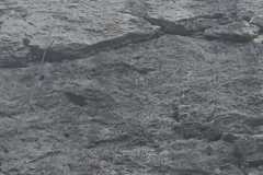 IMG-20220412-WA0049