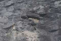 IMG-20220412-WA0054