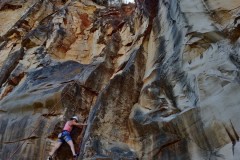 IMG_20220611_120226
