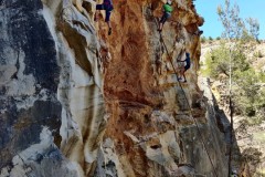 IMG_20220611_121419