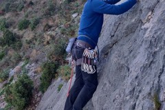 IMG_20221119_141503