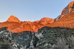 PXL_20230204_1650016952