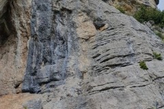 IMG-20230508-WA0005