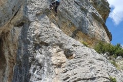 IMG-20230508-WA0008