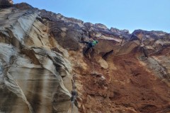 IMG-20230617-WA0010