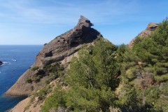 IMG-20230625-WA0039