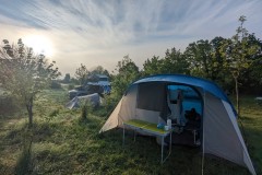 PXL_20240520_051539010