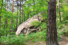 IMG-20260525-WA0036