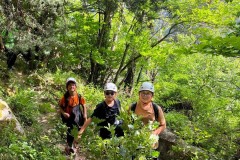 IMG-20260527-WA0057