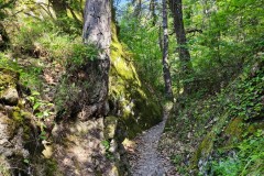IMG_20260525_102016