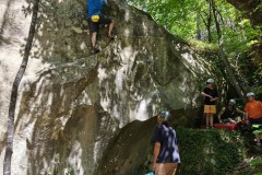 IMG_20260525_124528