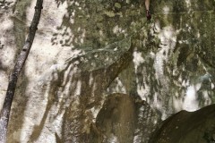 IMG_20260525_124555
