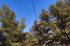 IMG_20260627_154239_3