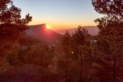 IMG_20220115_172308