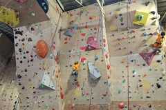 IMG-20260314-WA0050