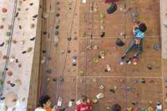 IMG-20260314-WA0061