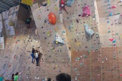 IMG-20240317-WA0019