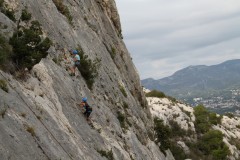IMG_3650