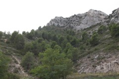 IMG_3666