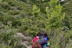 IMG_20200926_135521