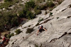 IMG_20210223_105210