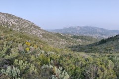 IMG_20210223_162714