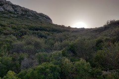 IMG_20210223_163059