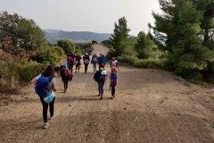 IMG_20210223_163642